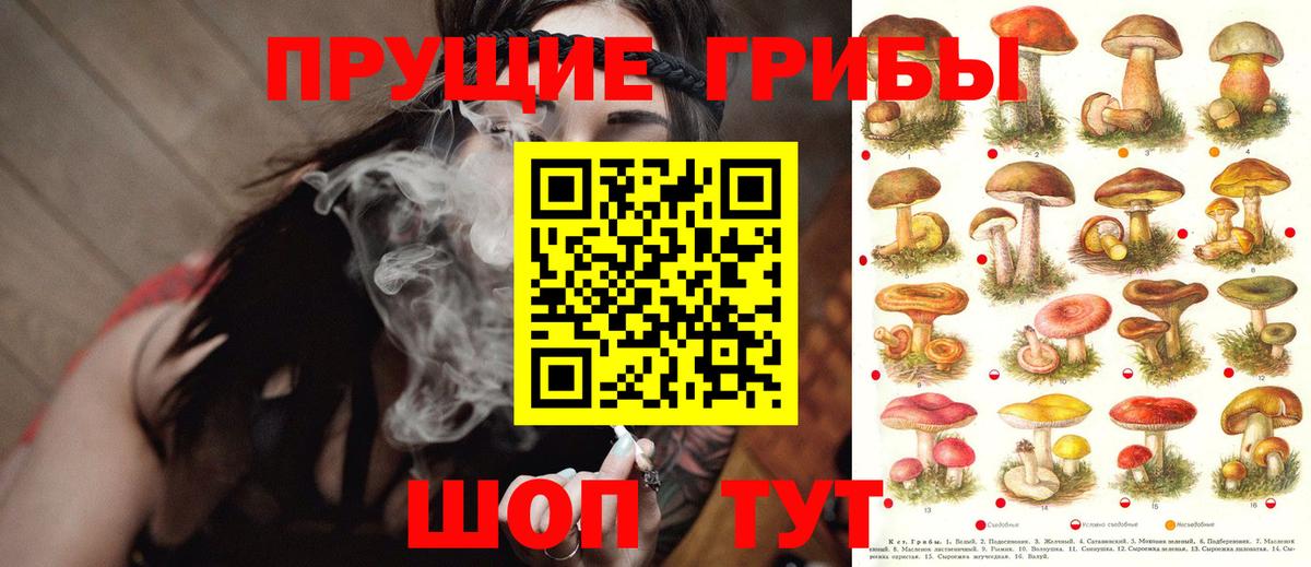Псилоцибиновые грибы мухоморы  Вход с VPN  Шебекино 