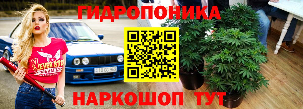 Бошки Шишки Bruce Banner Шебекино